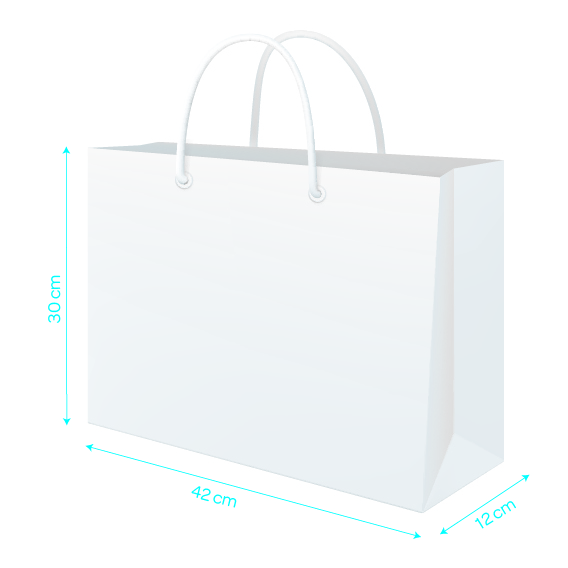 WHITE LUXURY CARRIER 42X12X30CM X 100